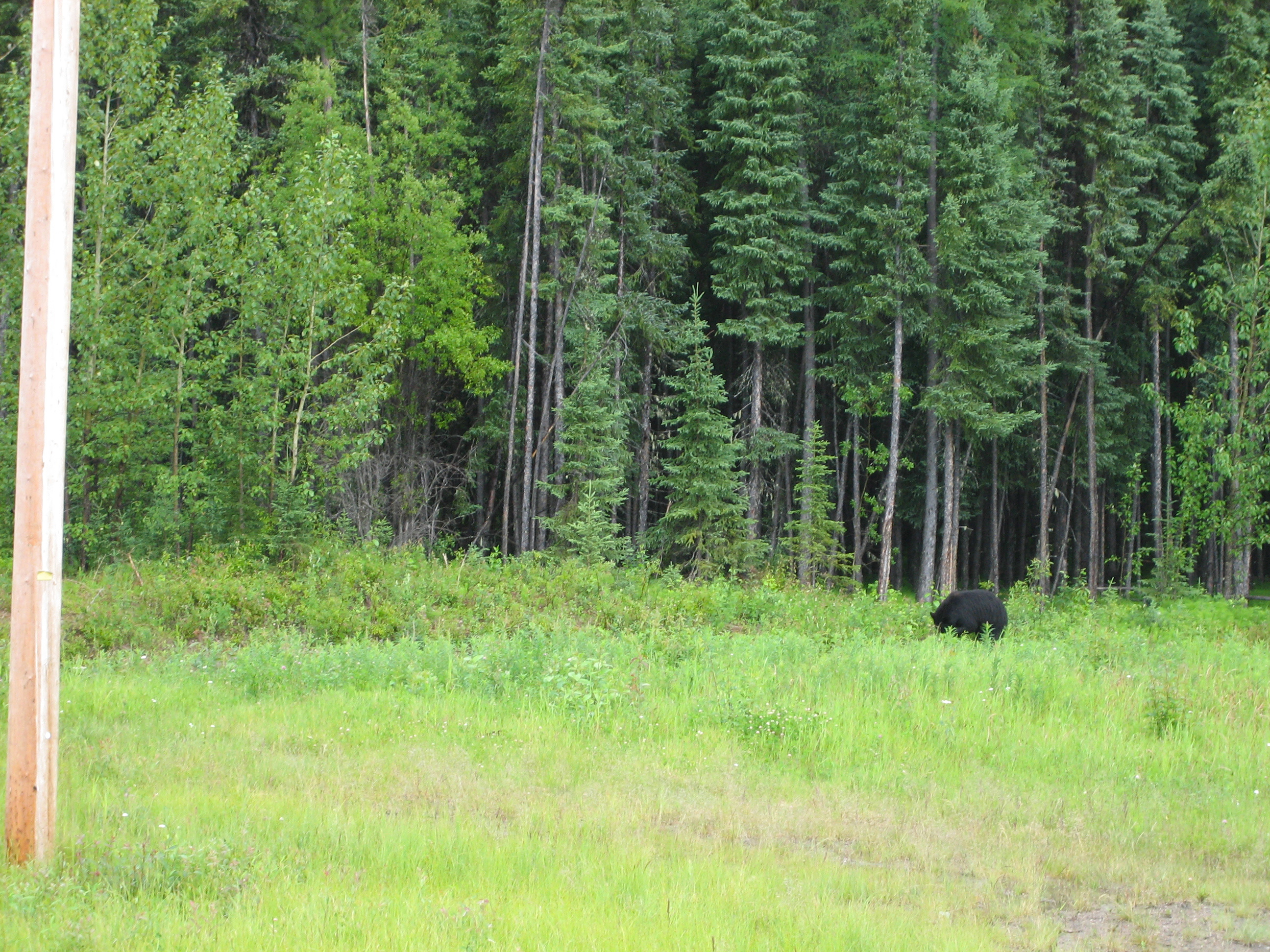 2008-07-15-Yukon-01.jpg