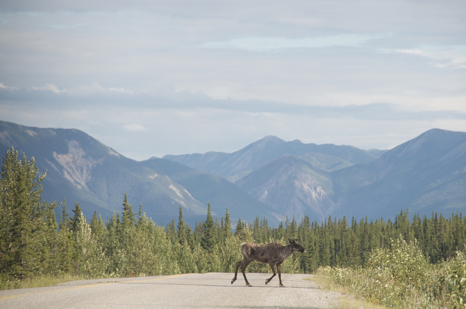 2008-07-15-yukon-08.jpg