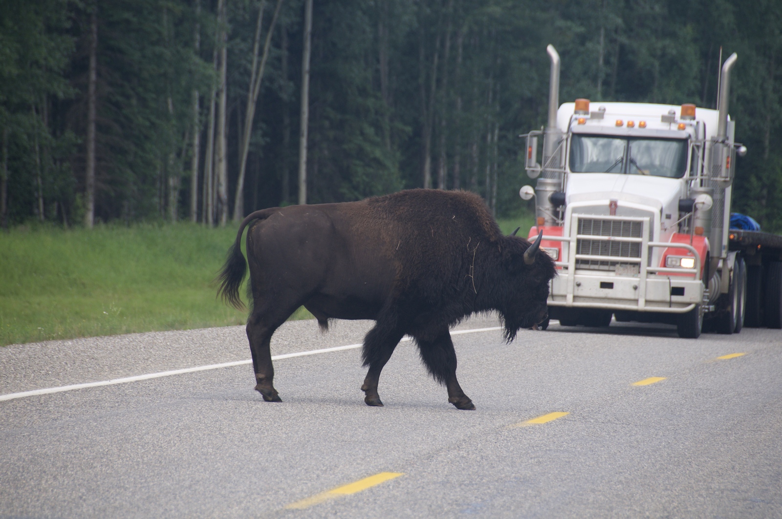 2008-07-15-yukon-12.jpg