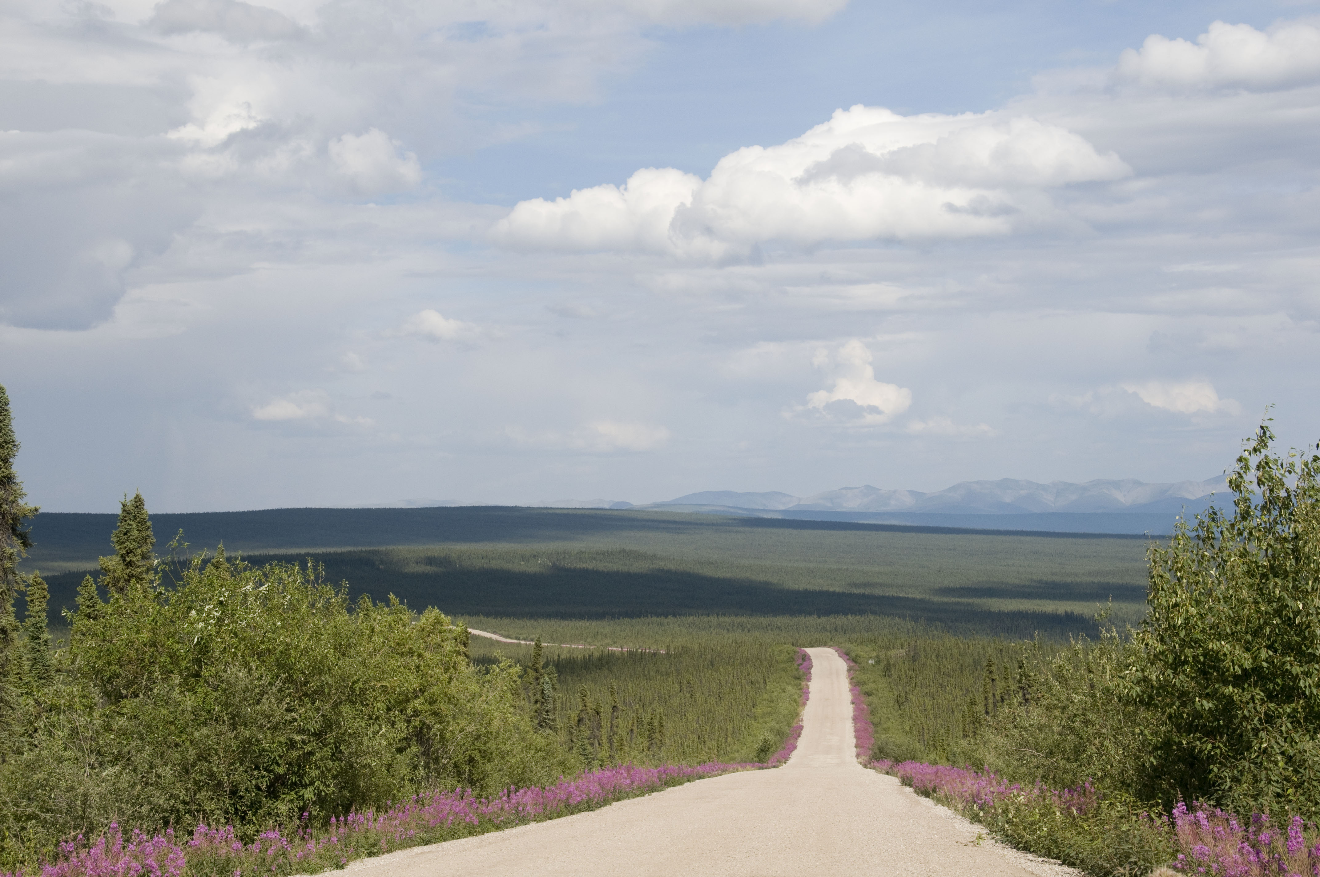 2008-07-16 Dempster Highway 047