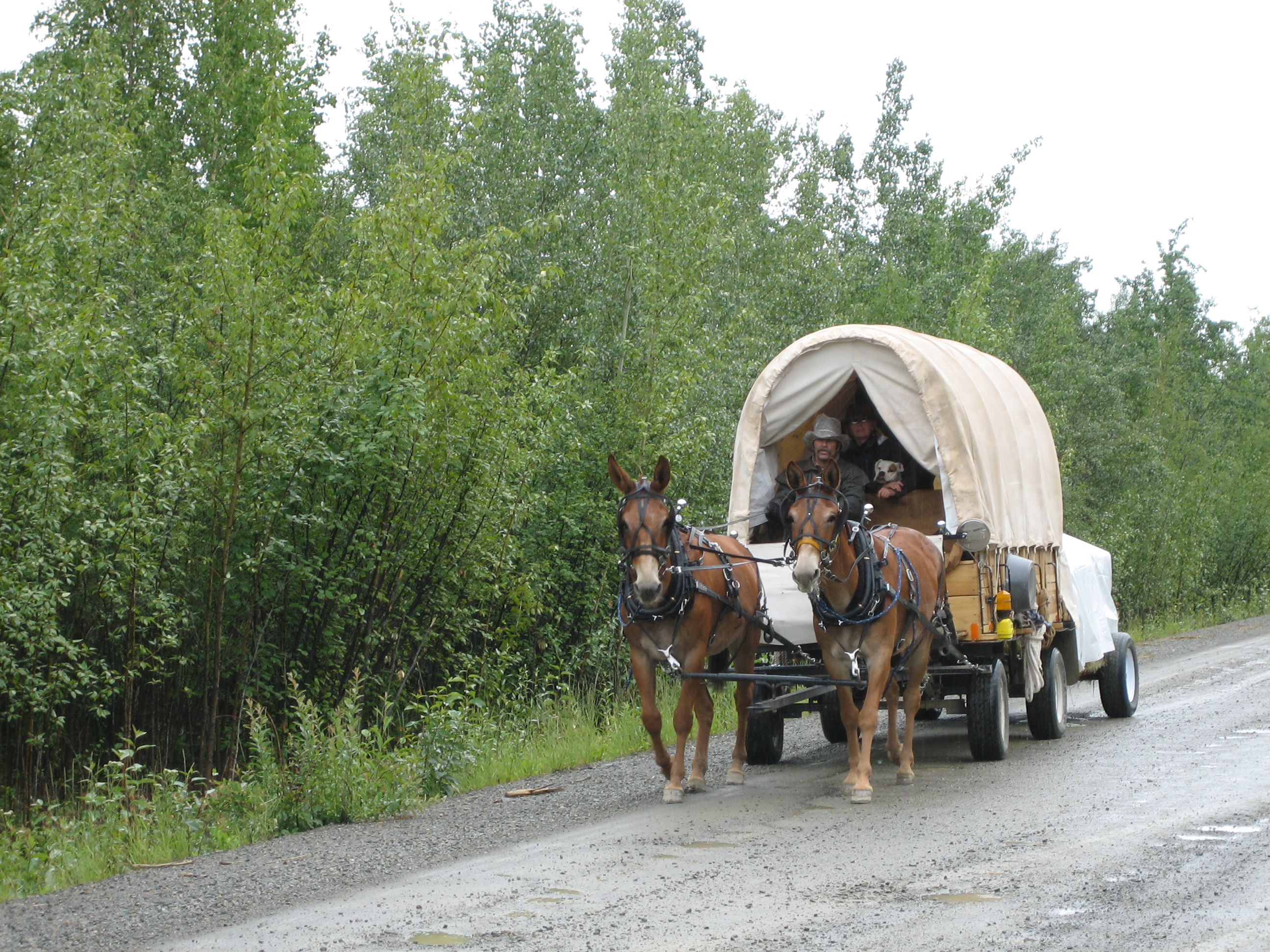 2008-07-19 Dempster Highway 7