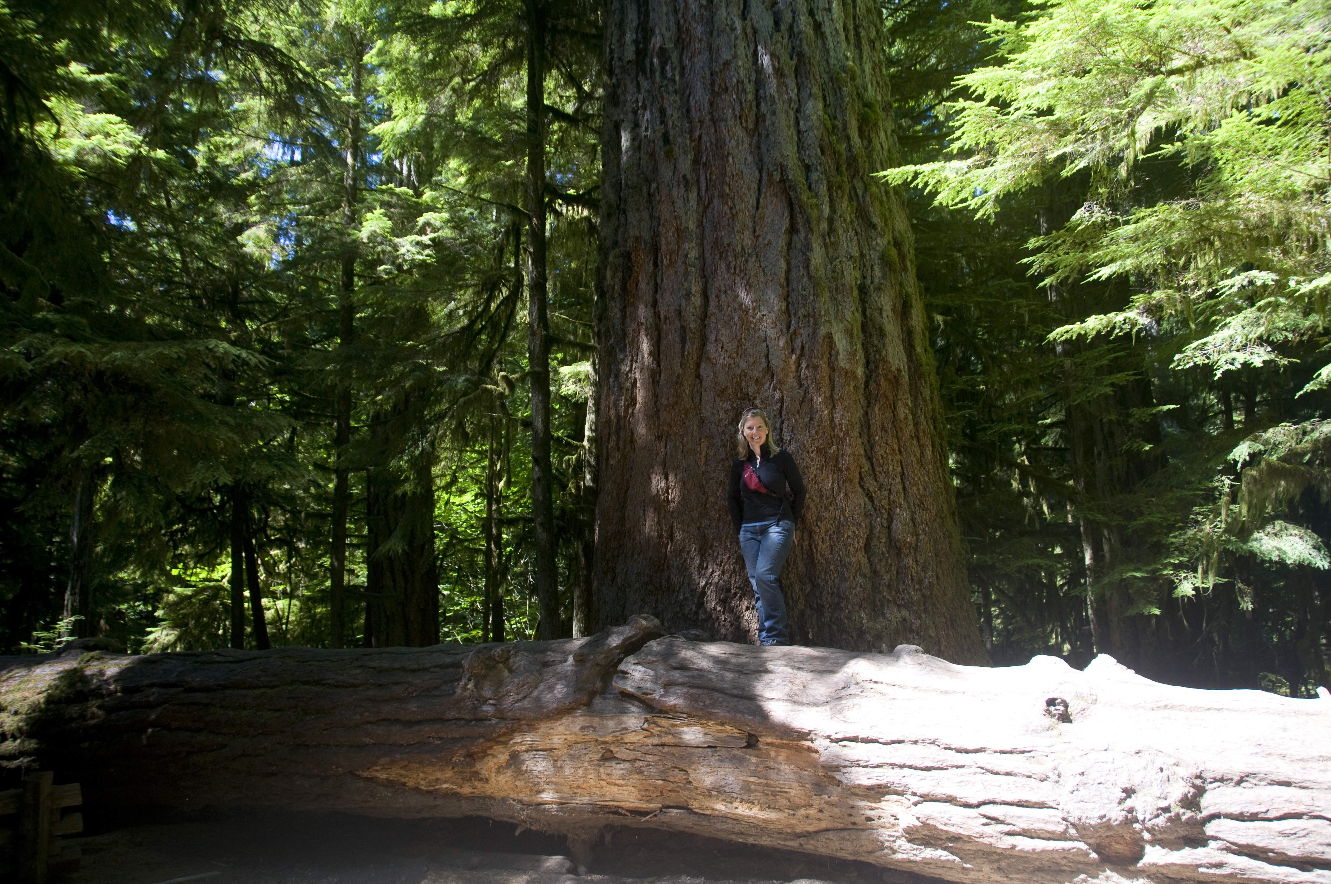2008-08-04 Pacific Rim Highway 11