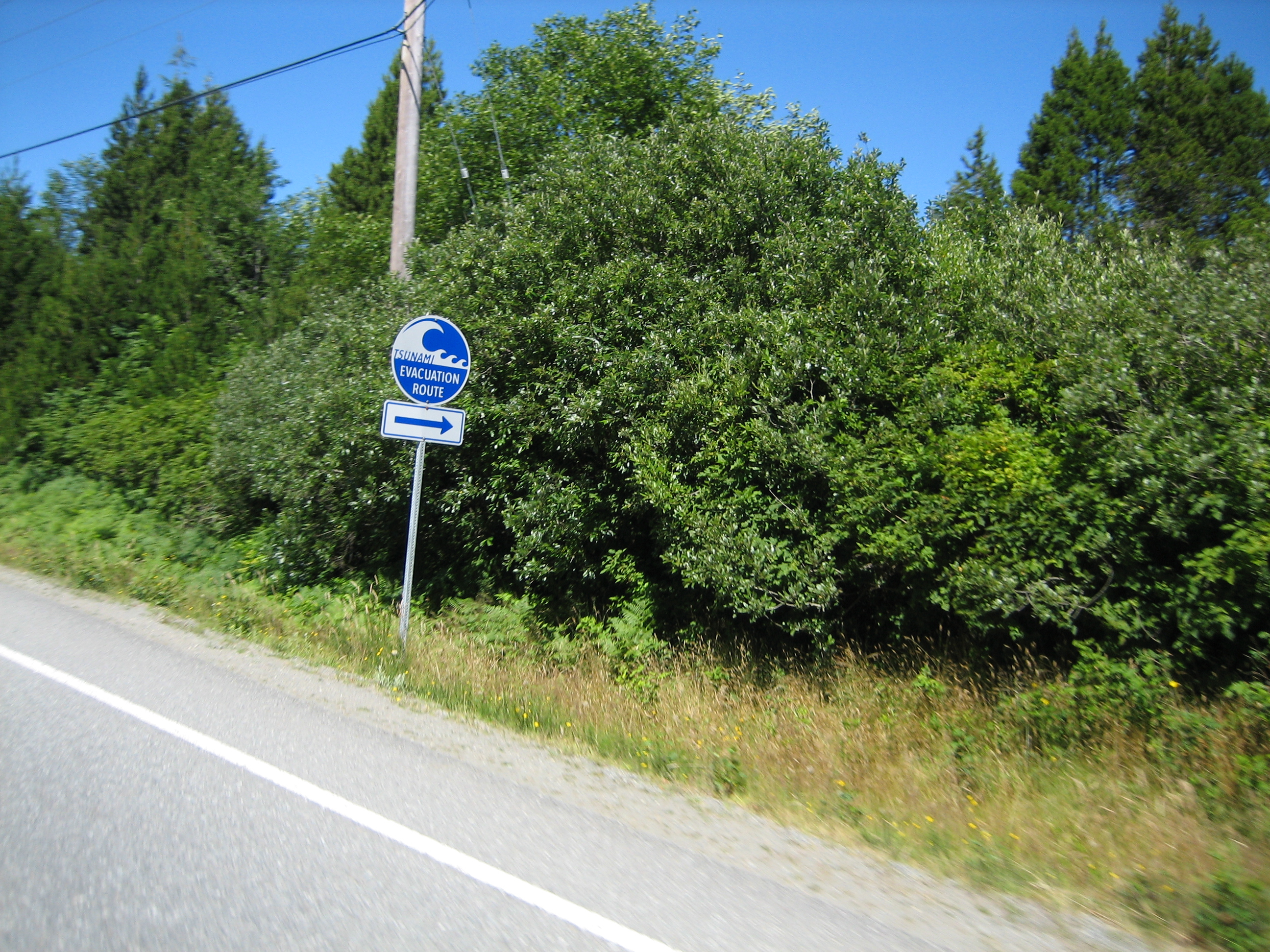2008-08-05 Tofino 26