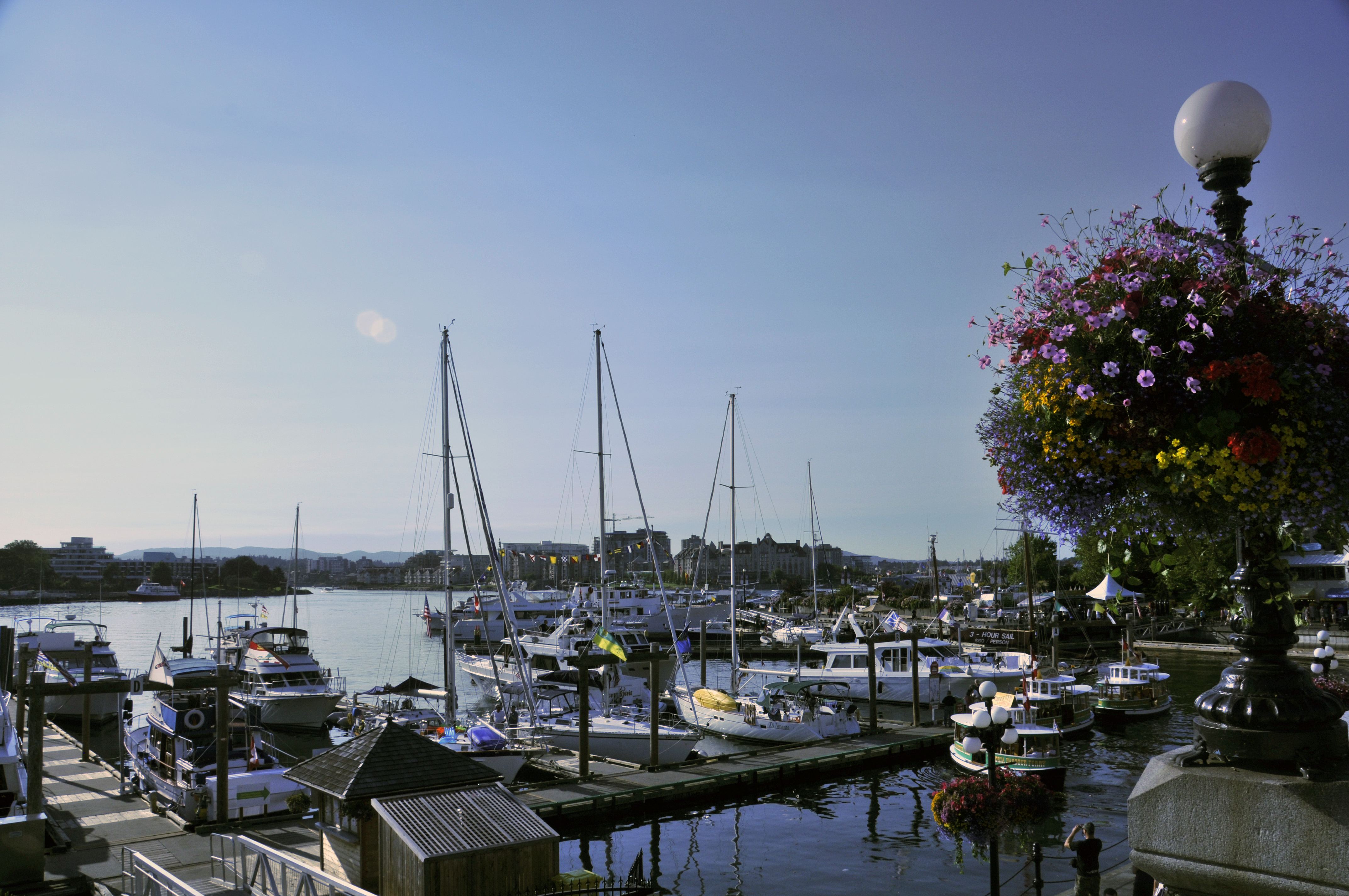 2008-08-05 Victoria 05
