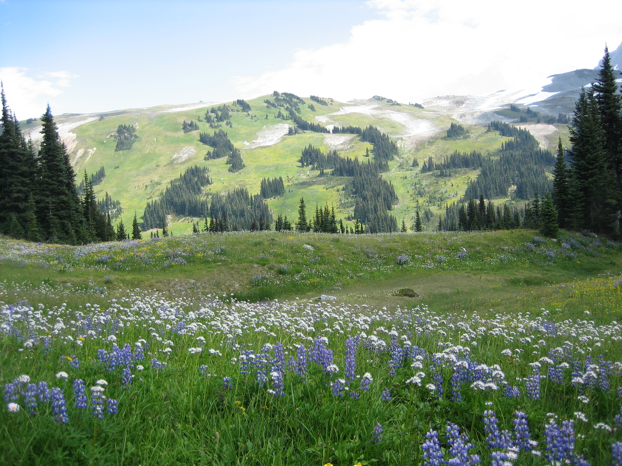 2008-08-08 Whistler 014