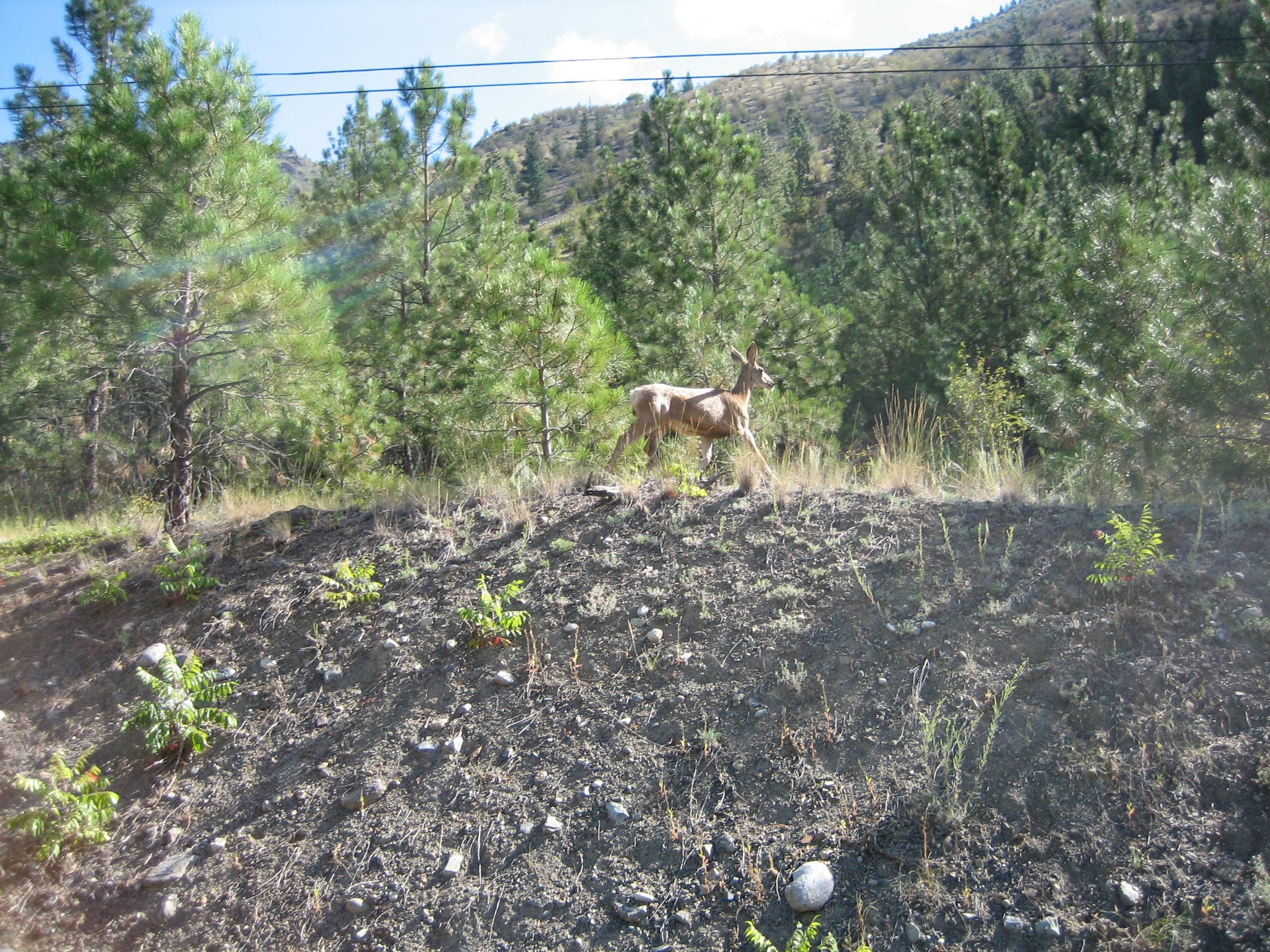 2008-08-11 Kelowna 03