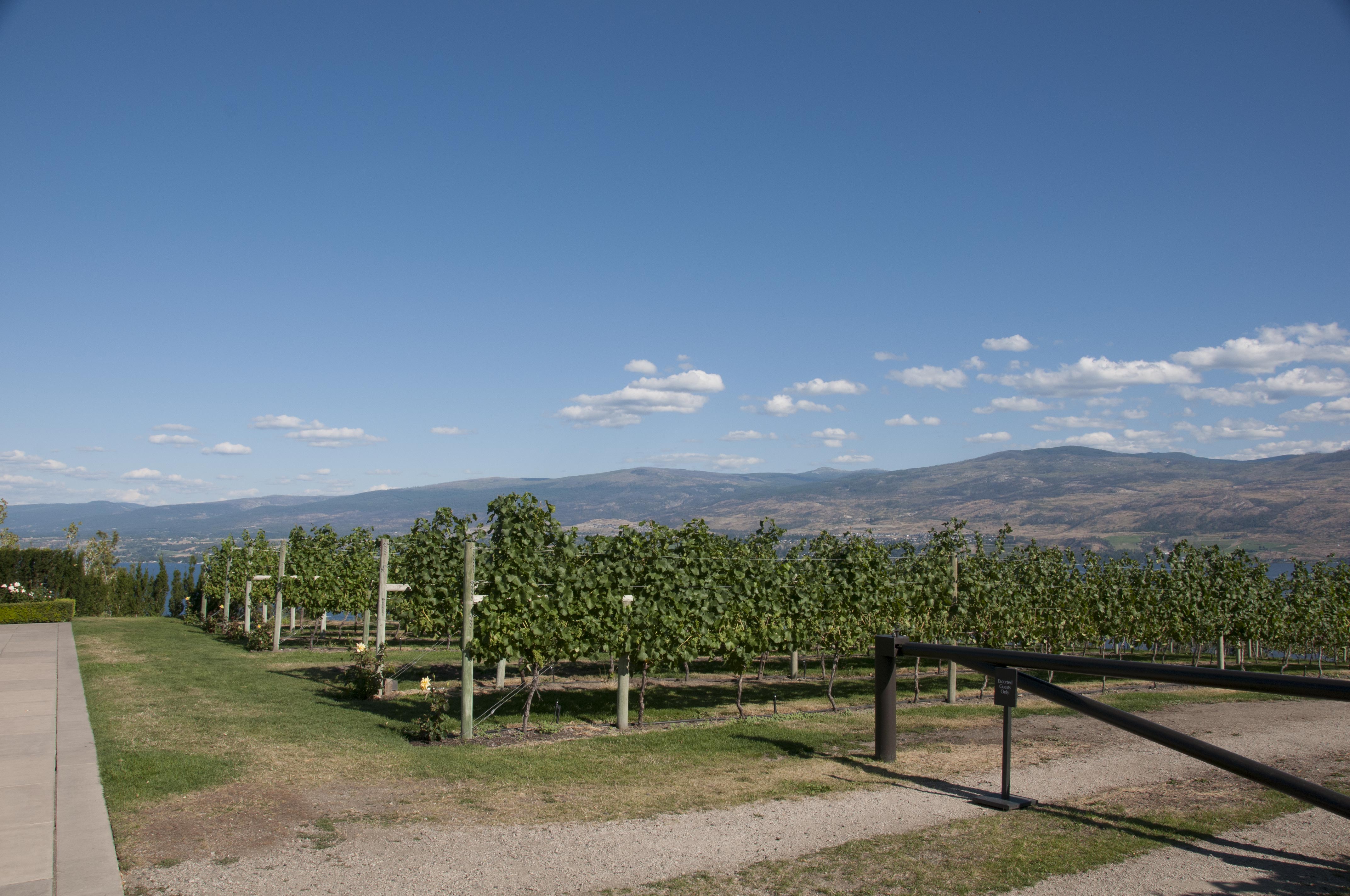 2008-08-11-Kelowna-33