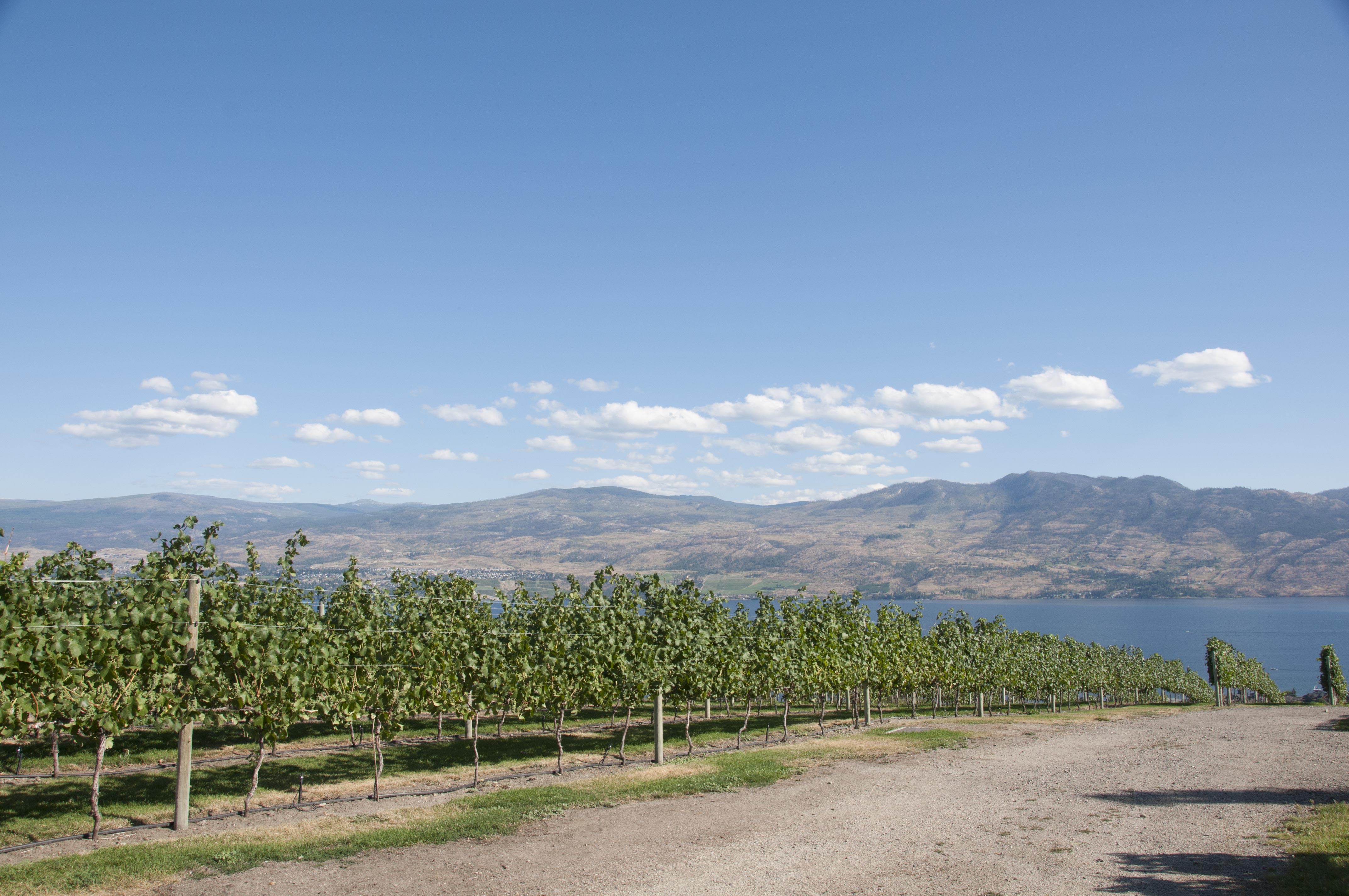 2008-08-11-Kelowna-36